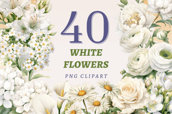 Download White Flowers PNG Bundle - Flowers Collection