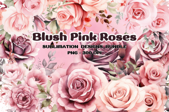 Download Blush Pink Roses Flowers Watercolor PNG - Flowers Collection