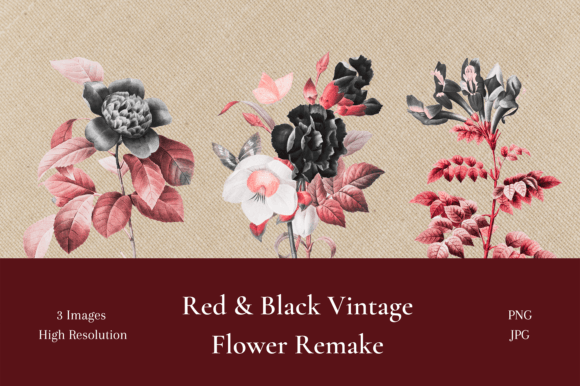 Download Red and Black Vintage Flower Remake - Premium Bundle