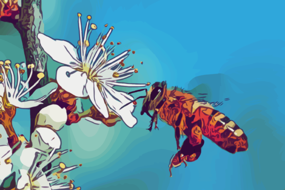 Download Bee in Apple Flowers - Flowers Collection