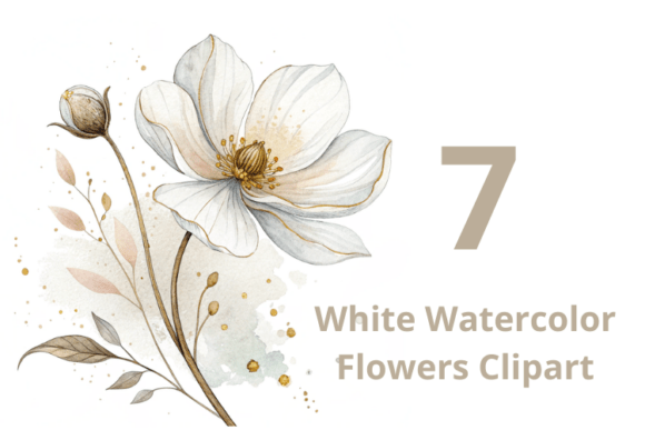 Download 7 White Watercolor Flowers - Flowers Collection